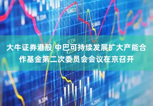 大牛证券港股 中巴可持续发展扩大产能合作基金第二次委员会会议在京召开