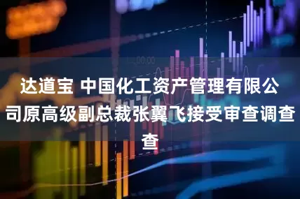 达道宝 中国化工资产管理有限公司原高级副总裁张翼飞接受审查调查