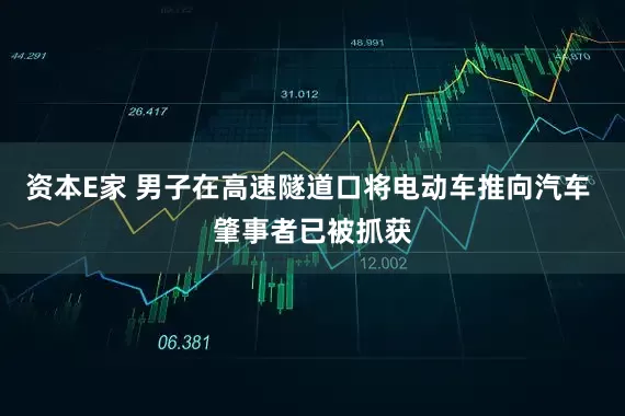 资本E家 男子在高速隧道口将电动车推向汽车 肇事者已被抓获