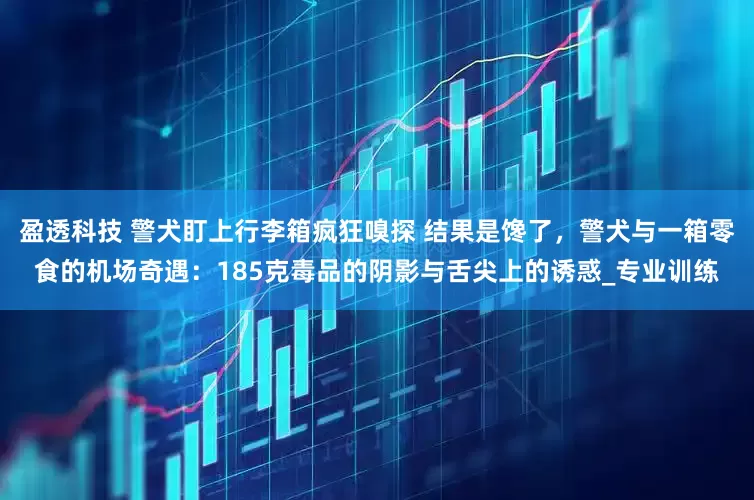 盈透科技 警犬盯上行李箱疯狂嗅探 结果是馋了，警犬与一箱零食的机场奇遇：185克毒品的阴影与舌尖上的诱惑_专业训练