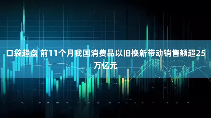 口袋超盘 前11个月我国消费品以旧换新带动销售额超25万亿元