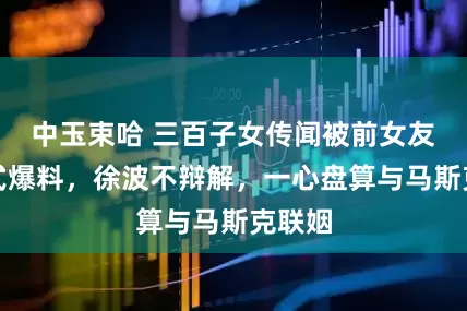 中玉束哈 三百子女传闻被前女友实锤式爆料，徐波不辩解，一心盘算与马斯克联姻